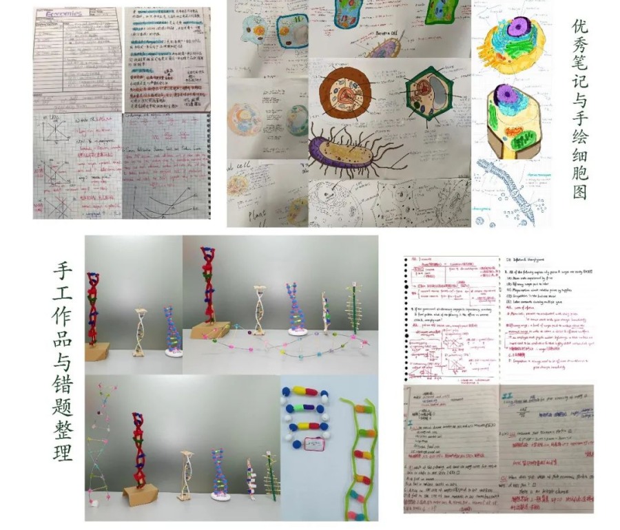 微信图片_20221227143402_副本.jpg